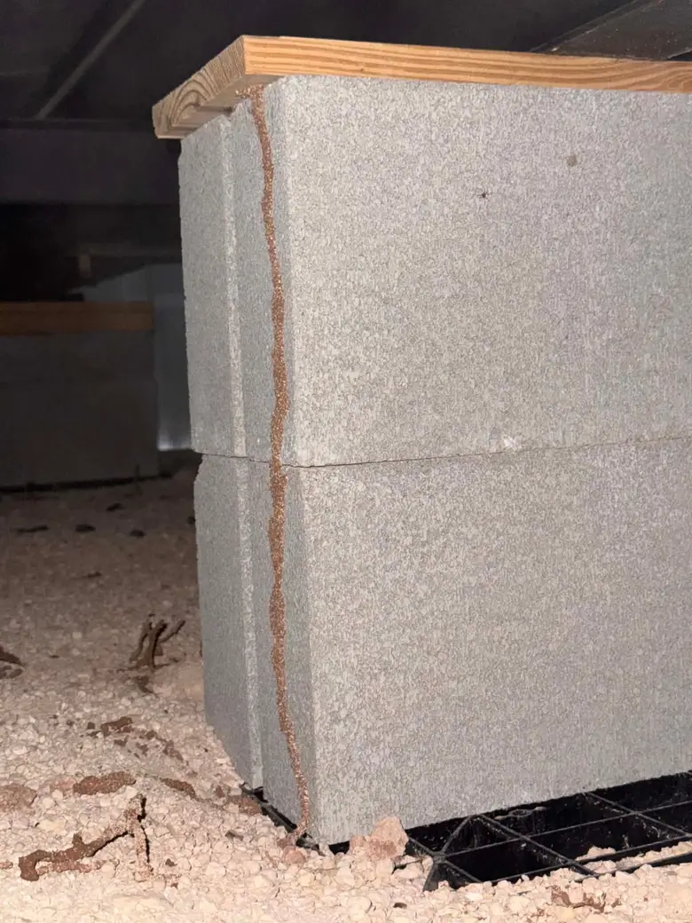 A termite mud tube running up the face of a concrete block pier to the wooden sill above it